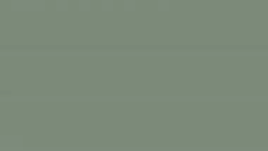 Desi girl removing chaddi showing chut